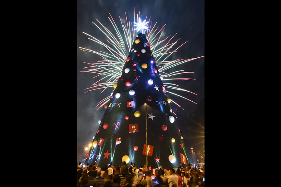The traditional Ibirapuera Tree (SP) inaugurated on the 13th, with 54 meters high, 30 meters in diameter, many LED lights and strobe light 10 watt to make her even more charming.
